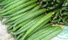 莱阳阳台吃瓜,瓜香四溢的夏日时光