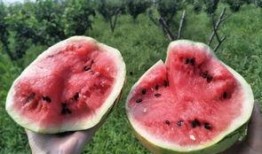 吃瓜影视营,揭秘娱乐圈幕后故事，带你领略明星真实生活