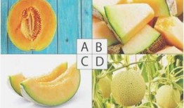 佛心瓜怎么吃最好吃