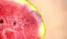 吃瓜05,一场网络热议背后的真相与反思