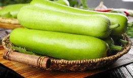 吃蒲瓜多久中毒,揭秘食用时间与中毒风险的关系