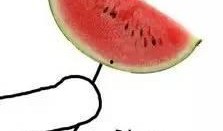 吃瓜等过年图片,喜庆氛围中的趣味瞬间