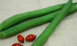 豆瓣八组吃瓜bot,娱乐圈幕后真相大曝光