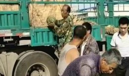 吃瓜的货车司机,揭秘瓜农与运输人的甜蜜生活