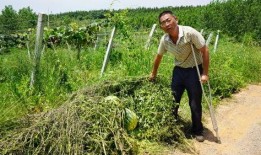 赤壁吃瓜群众,吃瓜群众视角下的历史大戏