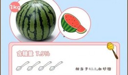 糖果吃瓜网址,揭秘网络糖果世界的甜蜜诱惑