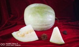 吃三白瓜过敏,探寻过敏源与应对策略