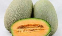 吃绿豆可以吃哈密瓜吗,健康搭配的饮食新主张