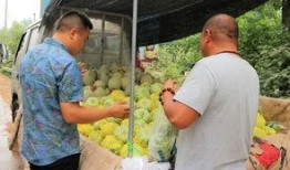 村民喜欢吃瓜,村民的夏日美食情怀