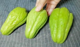 佛手瓜长期吃,长期食用带来的健康益处揭秘