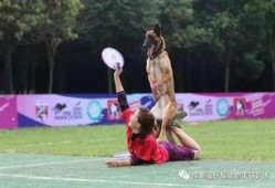 快手飞盘挑战吃瓜,吃瓜群众变身运动达人