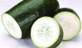 带你吃瓜茶叶,带你领略“吃瓜茶叶”的独特魅力