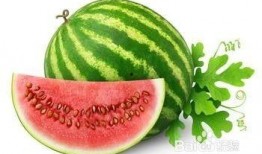 婴儿可以吃小瓜,小瓜营养食谱解析