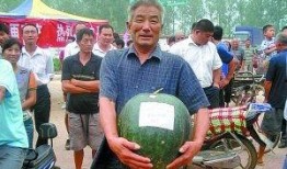 吃瓜大赛举办几年了,回顾吃瓜大赛的精彩历程与年度风云”