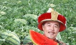 皇帝路边吃瓜视频