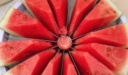 城建吃瓜,吃瓜群众揭秘城市建设的幕后故事