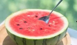 合格的吃瓜方法