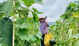 最新劲爆吃瓜,揭秘明星背后的惊人真相！