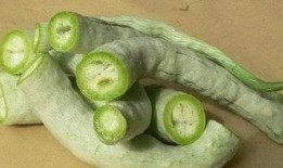 吃蛇瓜声控,揭秘蛇瓜的独特美味之旅