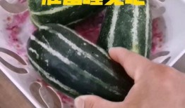 吃瓜睡觉肚子疼,揭秘日常生活中的健康隐患