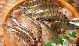 吃虾可以吃蜜瓜吗,美味搭配的饮食新主张