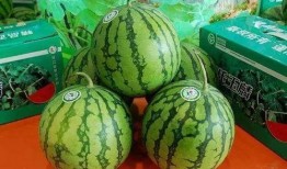 吃瓜最新发布,揭秘娱乐圈惊天大事件！