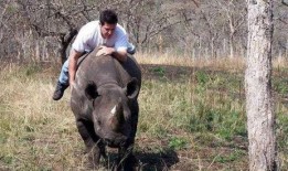 吃瓜阿呆,揭秘娱乐圈背后的那些事儿