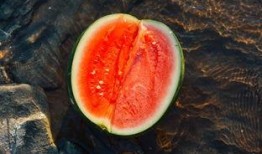 怀孕吃松瓜,松瓜助力健康孕育之旅