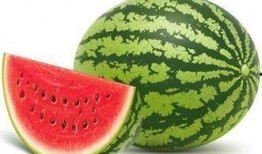 瓜只要有人吃就是好瓜,品味人生，共享美好时光