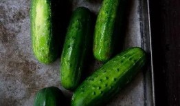 吃瓜博主7,带你领略网络红人的魅力与争议