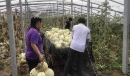 60岁的网友吃瓜