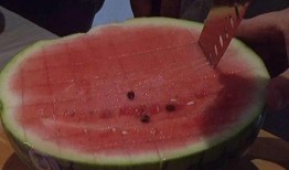 剪头吃瓜群众,揭秘网络热点的幕后故事