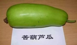 极极吃瓜,揭秘娱乐圈背后的那些事儿