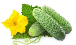 吃瓜系统苏安,一场全民参与的娱乐盛宴