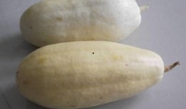 村民喜欢吃瓜,村民的夏日美食情怀