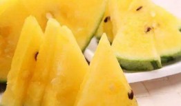 瓜只要有人吃就是好瓜,品味人生，共享美好时光