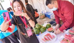 惠民吃瓜,揭秘美食背后的民生故事