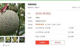 明星吃瓜长文小说,明星吃瓜大揭秘