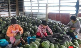 广西桂林吃瓜群众,揭秘当地美食风云录