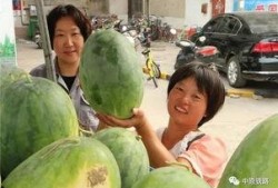 吃瓜社区最新,最新热门事件大盘点