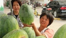 吃瓜社区最新,最新热门事件大盘点