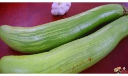 吃茄瓜搞笑视频