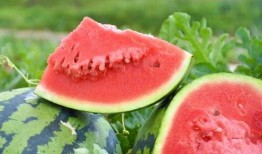 广东水利吃瓜,吃瓜群众揭秘水利建设背后的故事