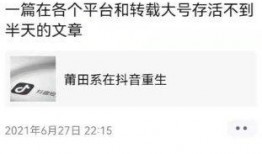 抖音吃瓜文件,热门事件背后的真相与争议