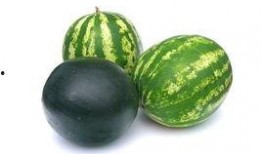 广州雨天吃瓜事件,市民雨中共享瓜果，共度欢乐时光