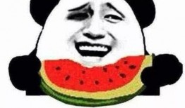 布偶打架吃瓜图片,吃瓜群众围观笑翻