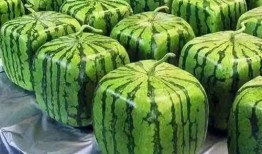 就知道吃瓜,揭秘娱乐圈背后的那些事儿