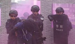 警察打死吃瓜,吃瓜群众目睹警察致命一击