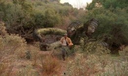 人马打野吃瓜,瓜田里的激情与智慧