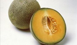 吃瓜群众甜蜜指南小说,揭秘吃瓜群众的小说世界